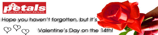 Send Valentines flowers
