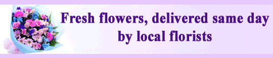 Fresh Flowers delivered by local florists from Petals Network